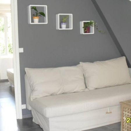 Gite A La Ferme Pres Vulcania-Gr89 La Goutelle Ngoại thất bức ảnh